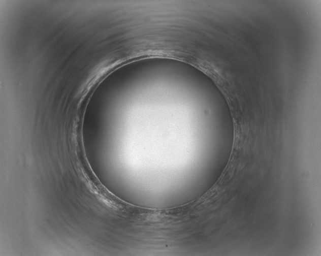 X0000078890098200611271403