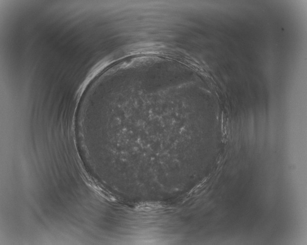 X0000078890099200611271403