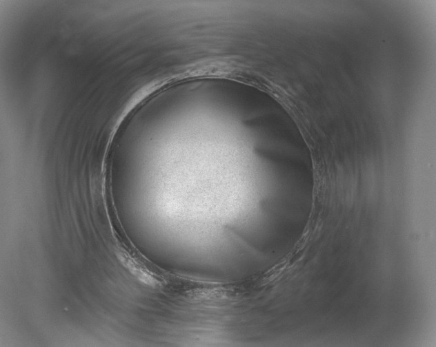 X0000078890100200611271403