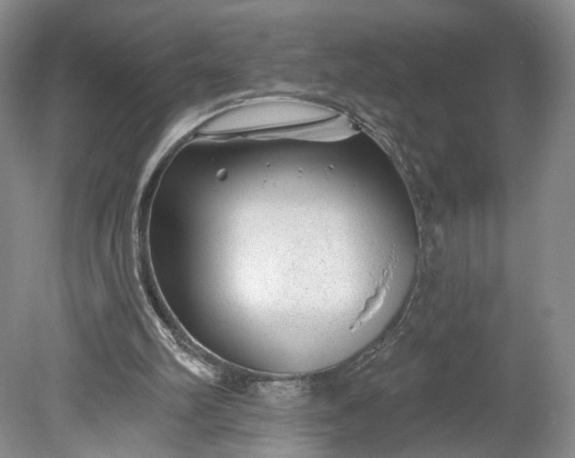 X0000078890102200611271403