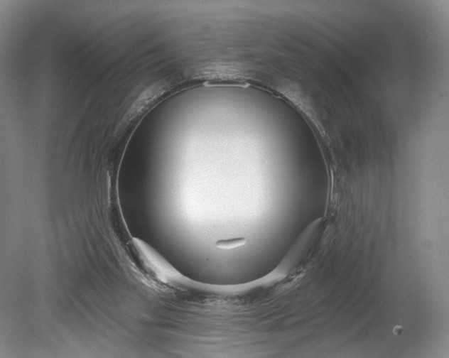 X0000078890109200611271403