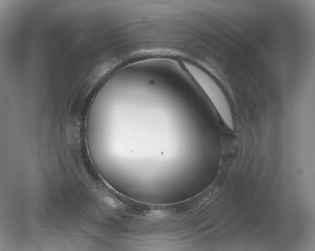 X0000078890111200611271403