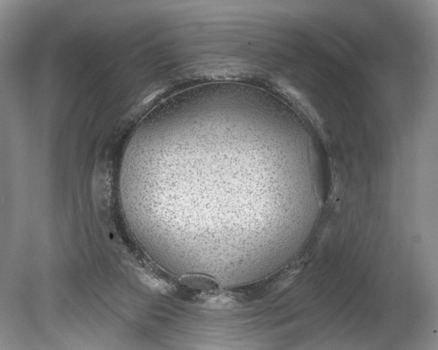 X0000078890113200611271403