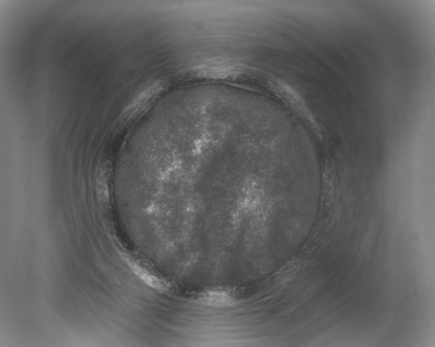 X0000078890114200611271403