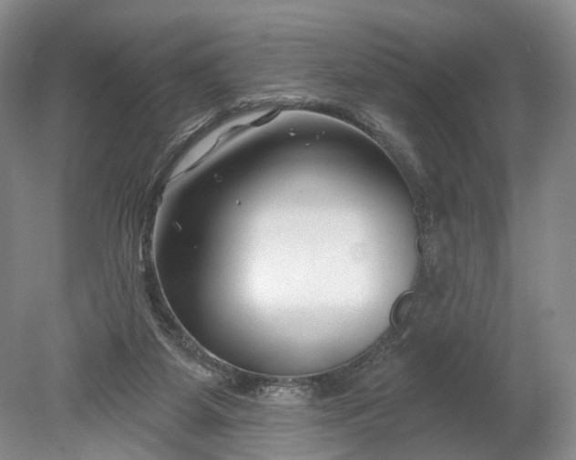 X0000078890115200611271403