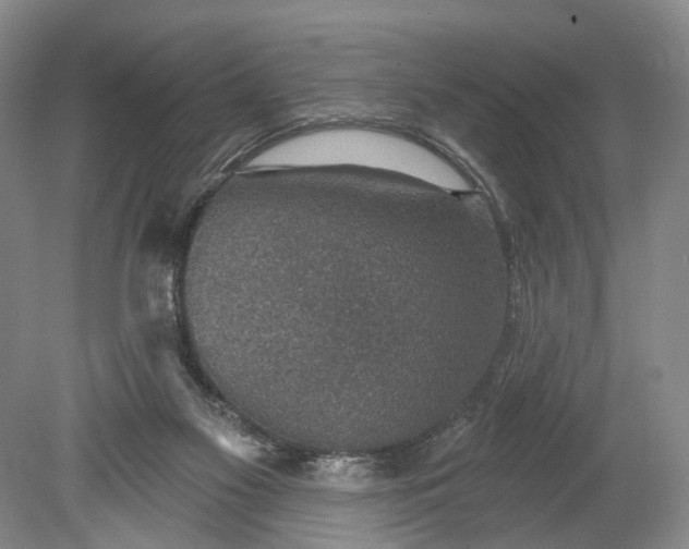 X0000078890117200611271403