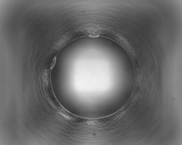 X0000078890121200611271403