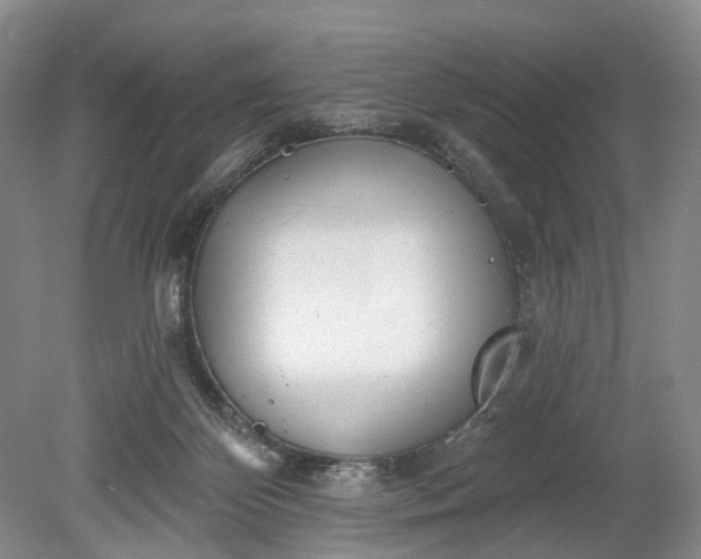 X0000078890124200611271402