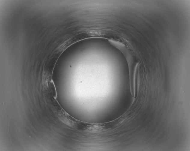 X0000078890125200611271402