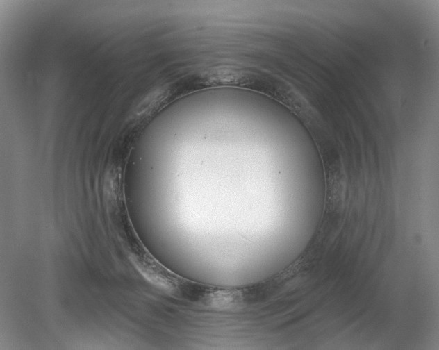 X0000078890126200611271402