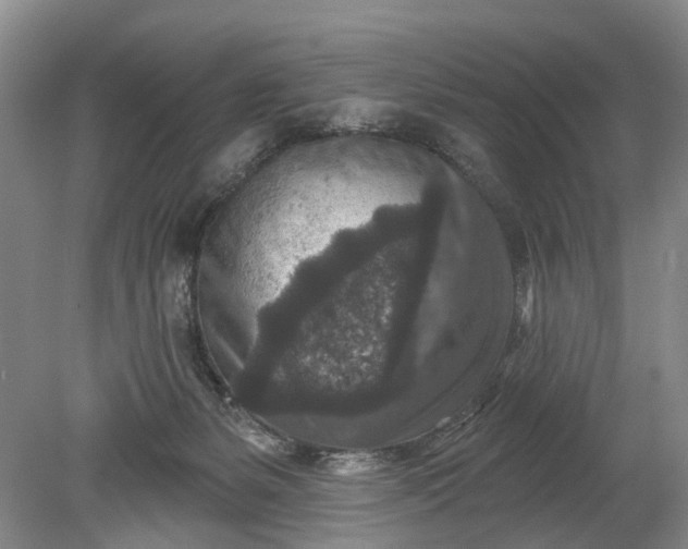 X0000078890127200611271402