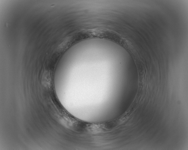 X0000078890129200611271402