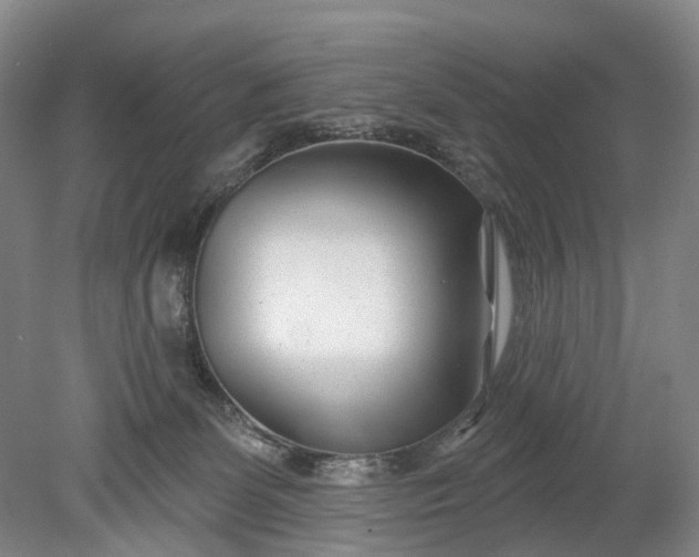 X0000078890131200611271402