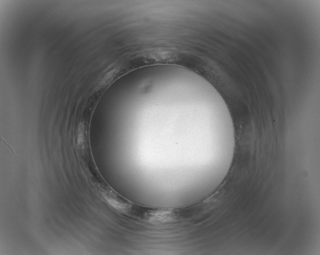 X0000078890132200611271402