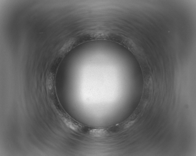 X0000078890133200611271402