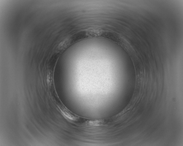 X0000078890134200611271402