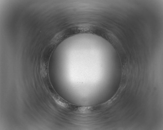 X0000078890136200611271402