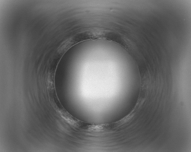 X0000078890140200611271402