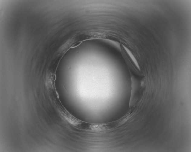 X0000078890141200611271402