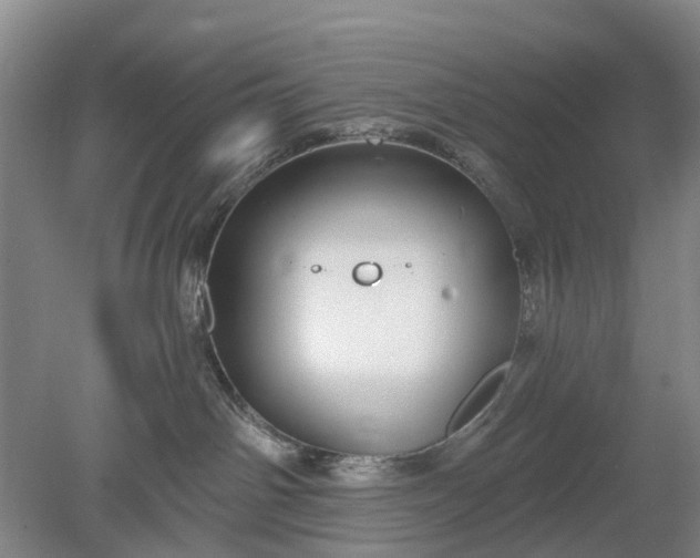 X0000078890142200611271402