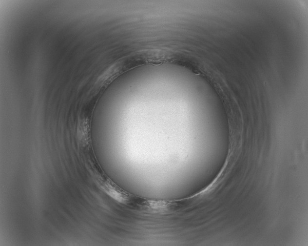 X0000078890144200611271402