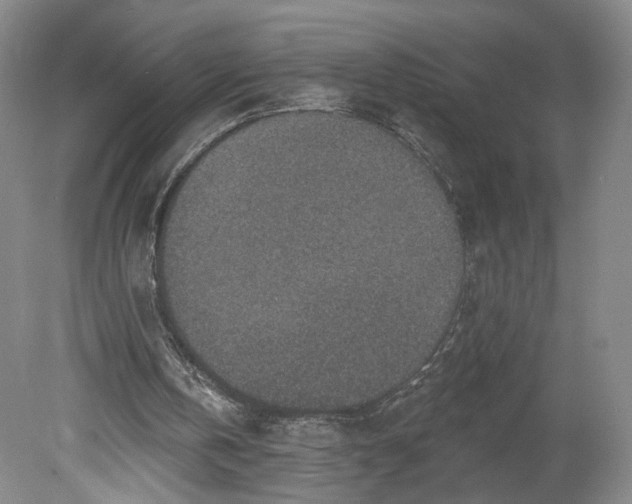 X0000078890146200611271401