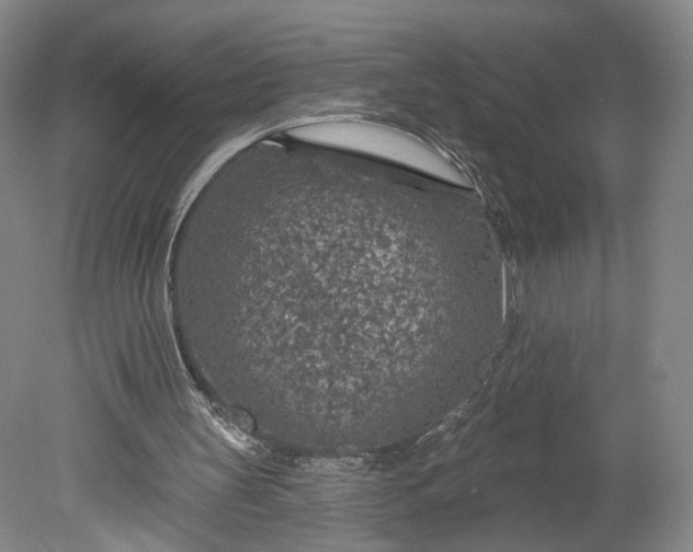 X0000078890147200611271401