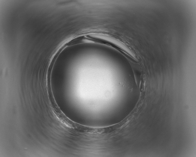 X0000078890148200611271401