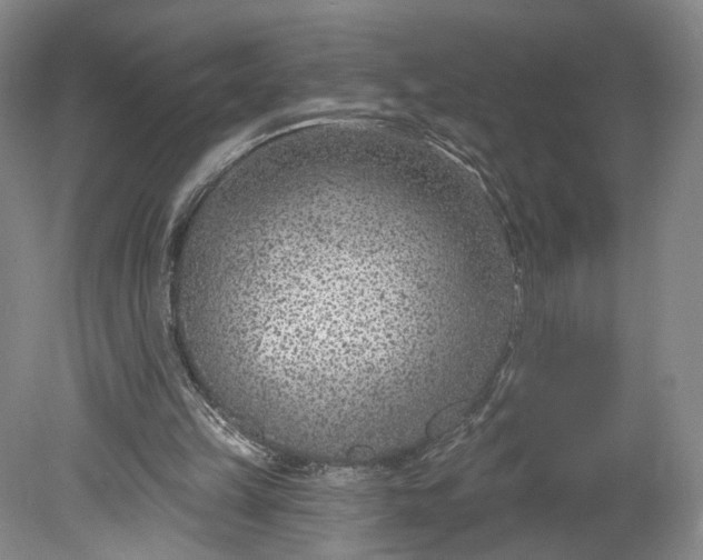 X0000078890149200611271401