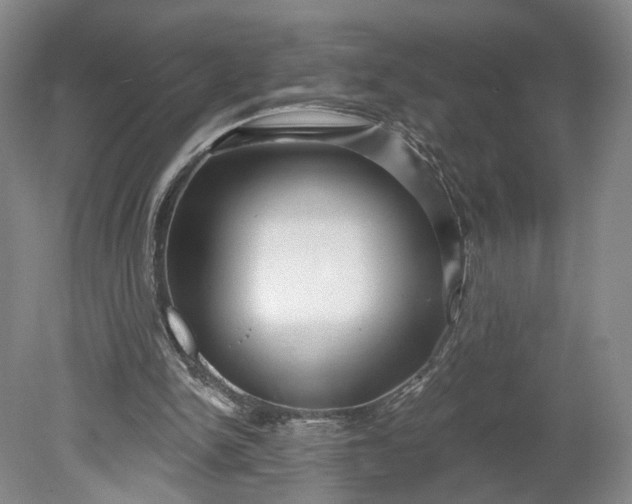 X0000078890150200611271401