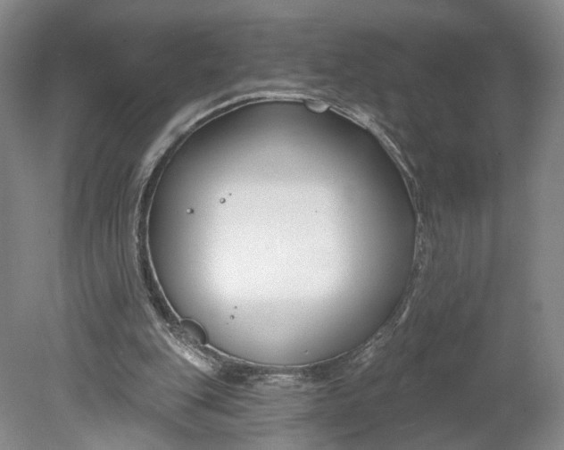 X0000078890151200611271401