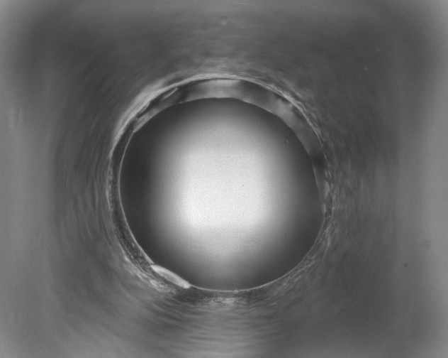 X0000078890152200611271401