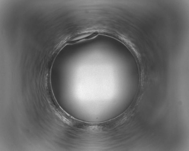 X0000078890153200611271401