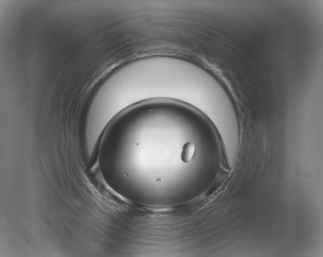 X0000078890154200611271401