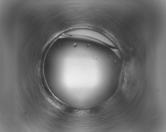 X0000078890155200611271402