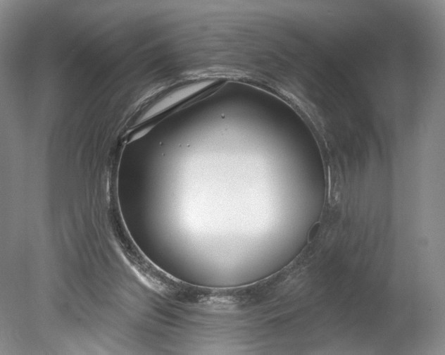 X0000078890157200611271402