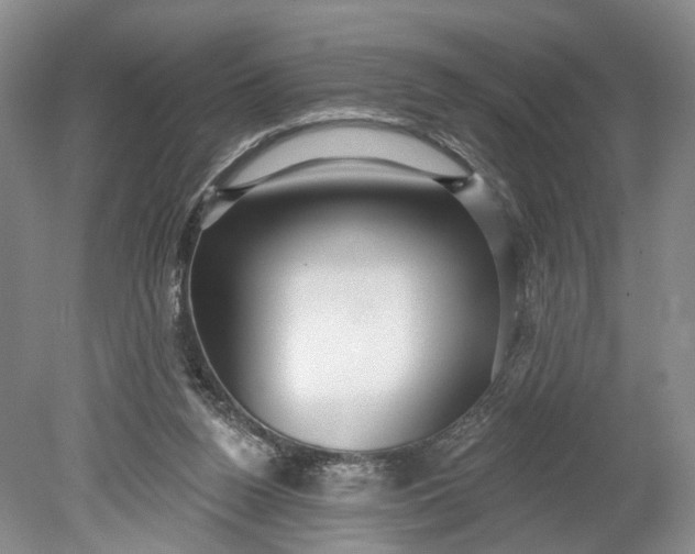 X0000078890160200611271402