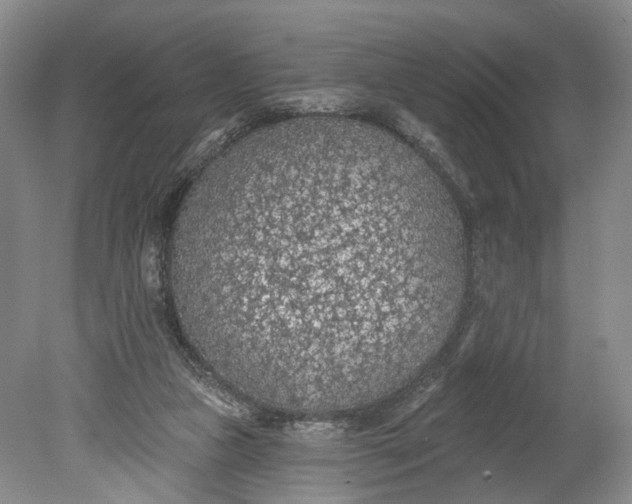 X0000078890161200611271402