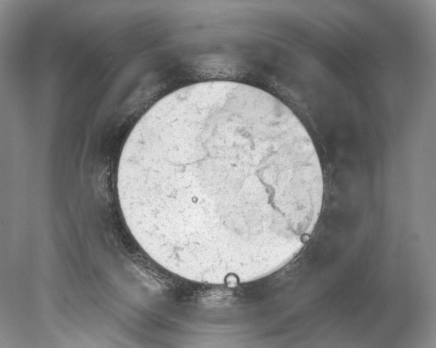 X0000078890162200611271402