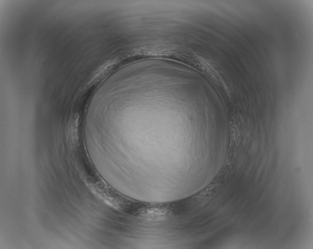 X0000078890163200611271402