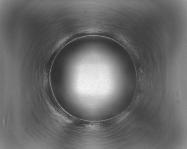 X0000078890164200611271402