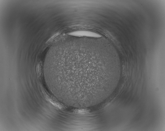 X0000078890165200611271402