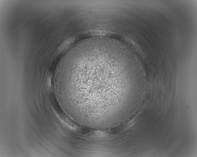 X0000078890166200611271402