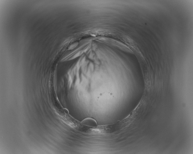 X0000078890167200611271402