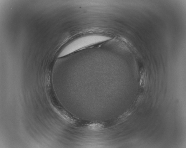 X0000078890168200611271402