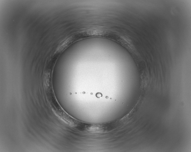 X0000078890171200611271402