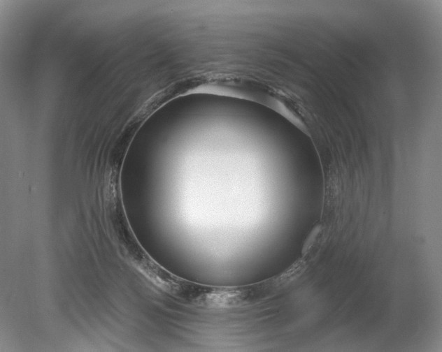 X0000078890172200611271402