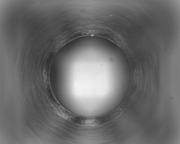 X0000078890173200611271402