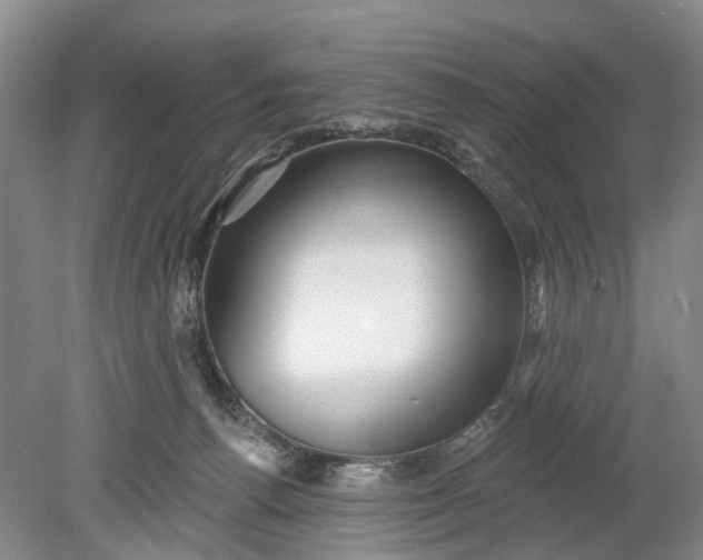 X0000078890176200611271402