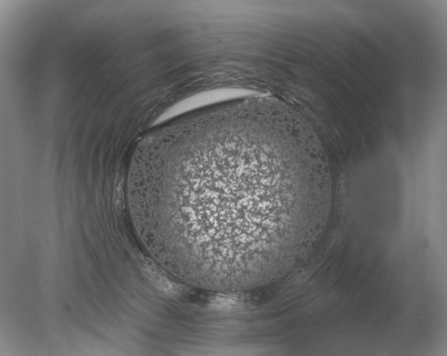 X0000078890177200611271402